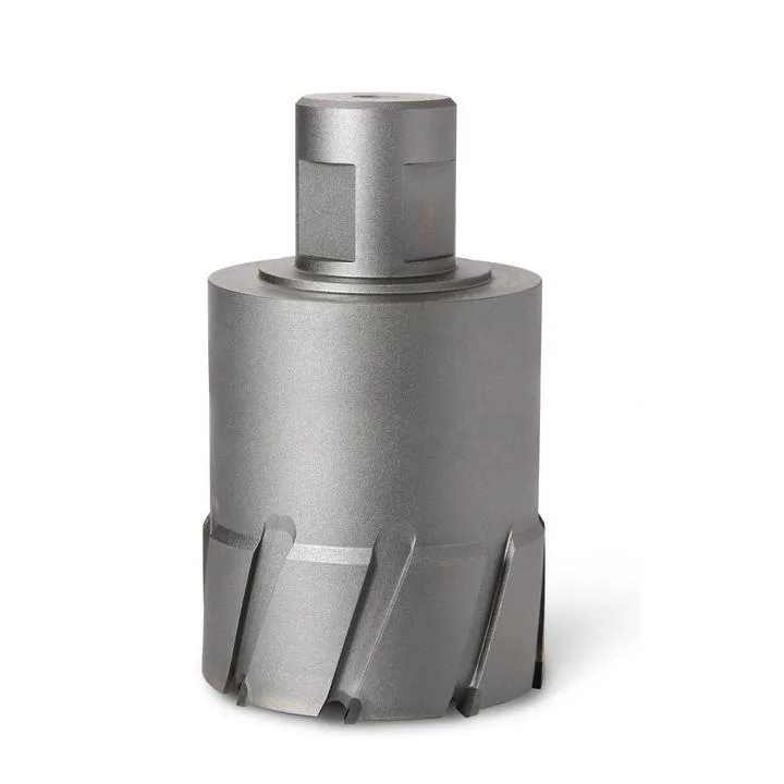 Fein HM Ultra Kärnborr Weldon 32, 100 mm Ø85 mm
