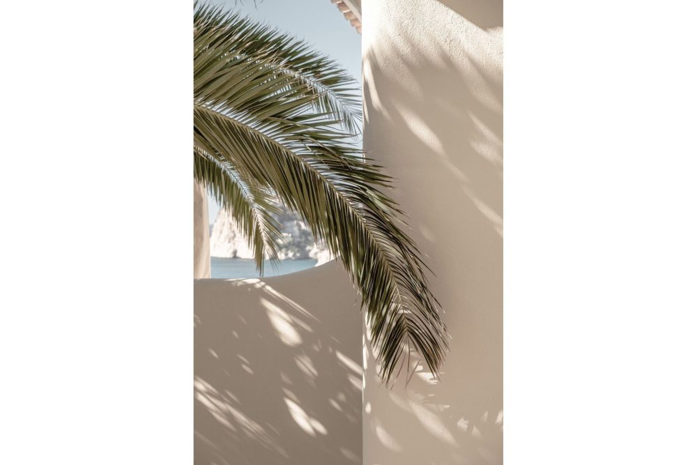 Poster Palmleaf 21x30 cm