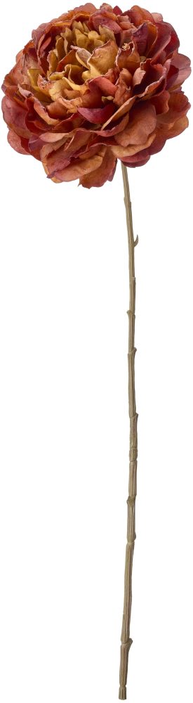 Pion Konstväxt, H60 cm