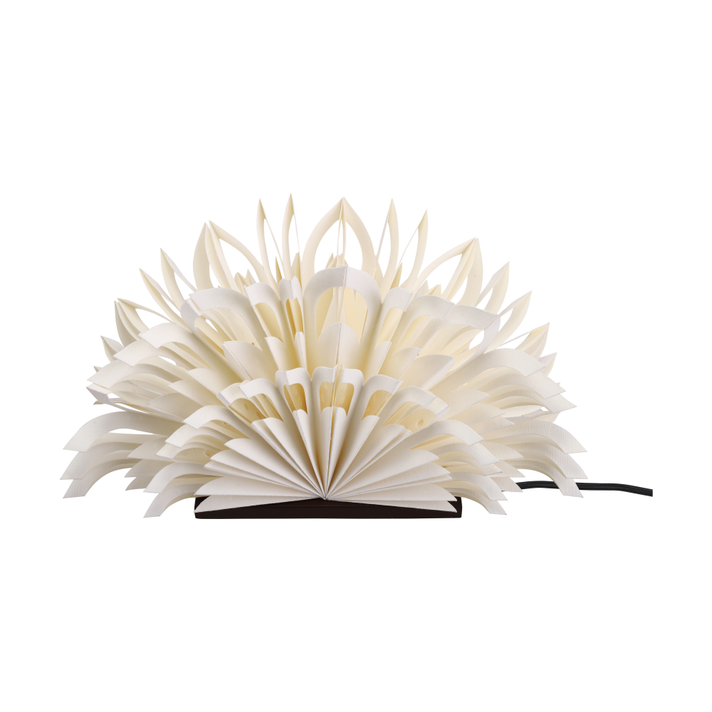 Mezza Clara bordsstjärna, White-coffee