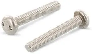 Schäfer & Peters 91012412 Säkerhetsskruv M4, med cylinderhuvud, A2, 100-pack M4 x 12 mm