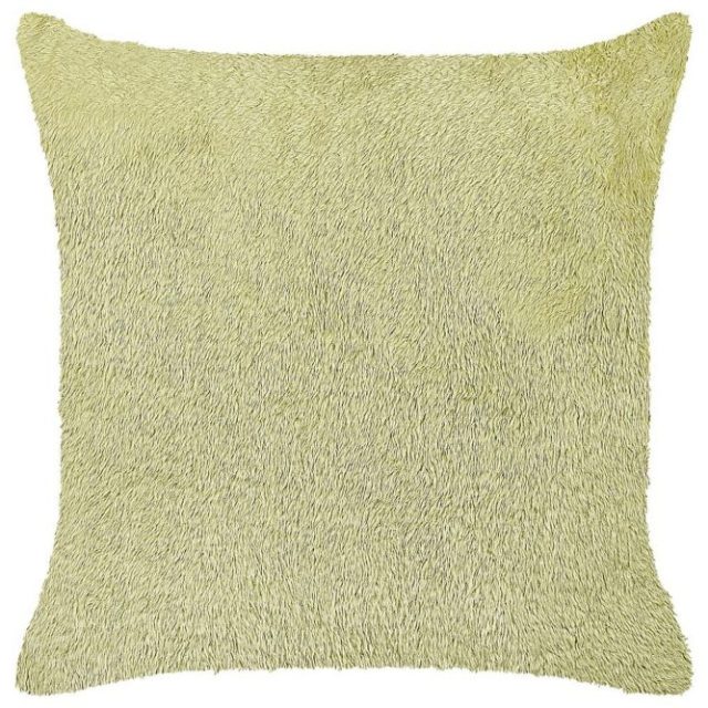 Prydnadskuddar Pilea Grön