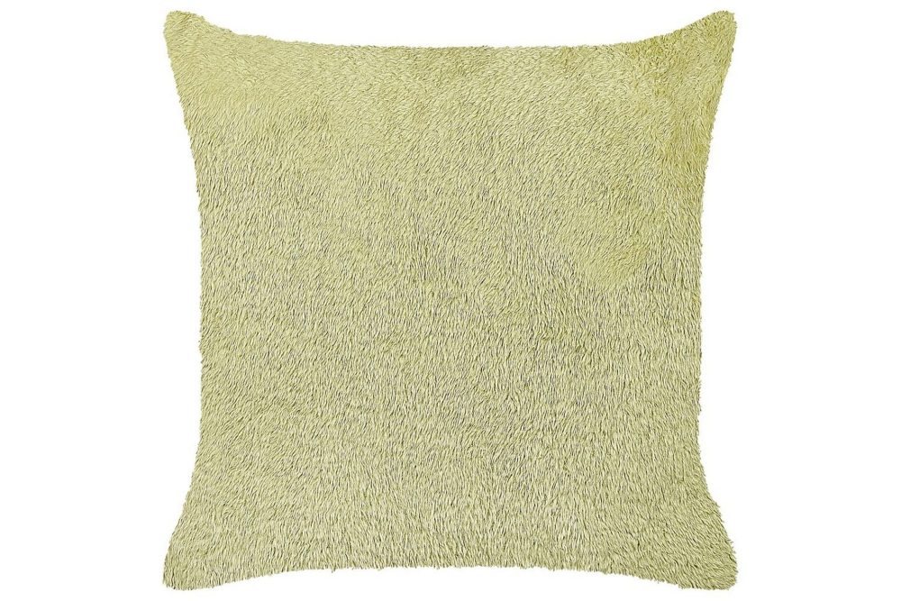 Prydnadskuddar Pilea Grön