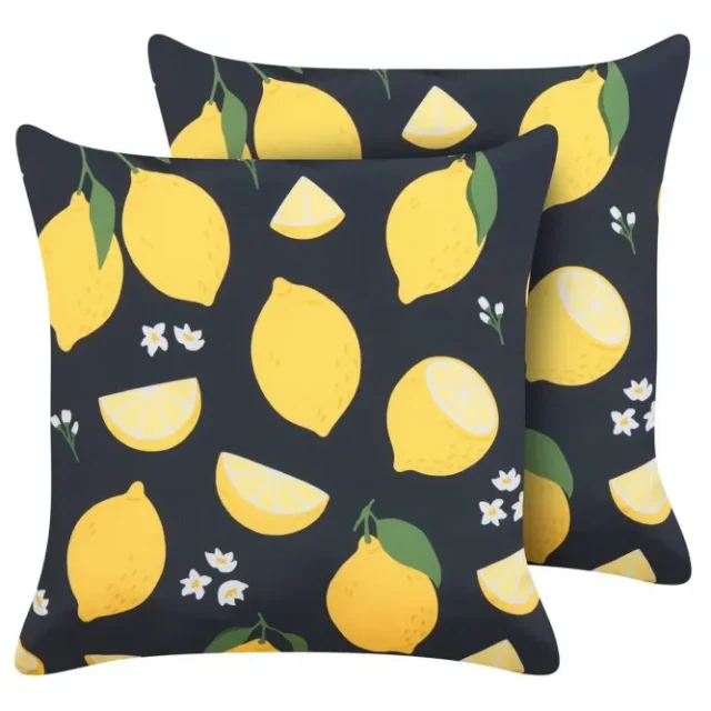 Prydnadskuddar Citrus set om 2