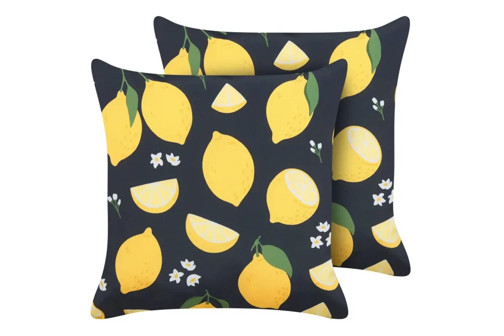 Prydnadskuddar Citrus set om 2