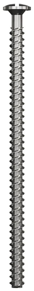 Elko EKO07449 Dosskruv 55 mm, 4-pack