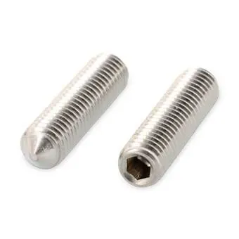 Schäfer & Peters 402745 8 Stoppskruv M5 x 8 mm, A4, ISO 4027, 500-pack