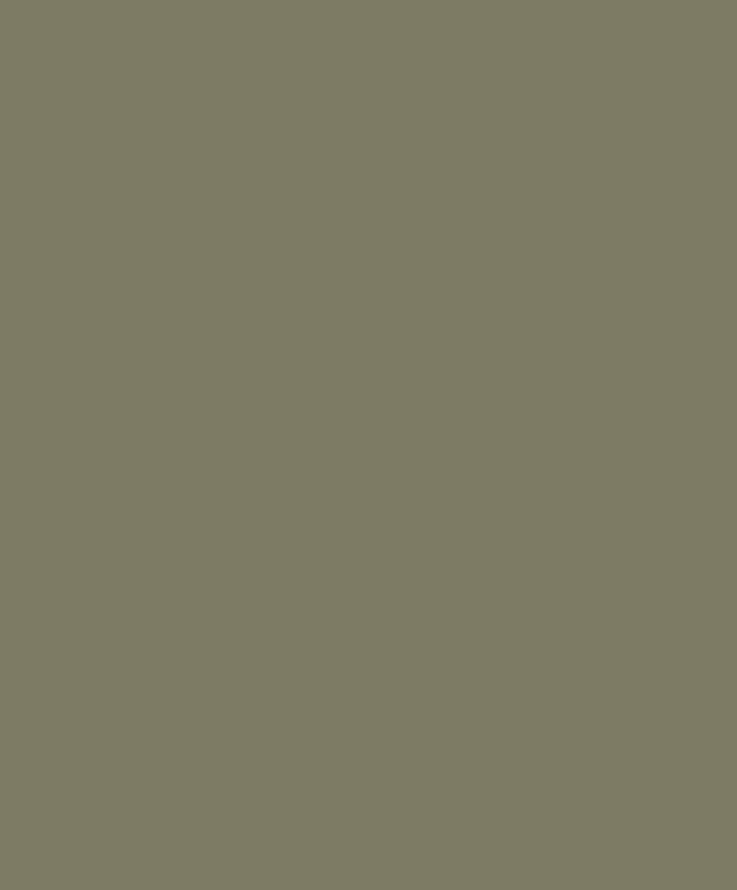 Casadeco Pigments Vert Kaki