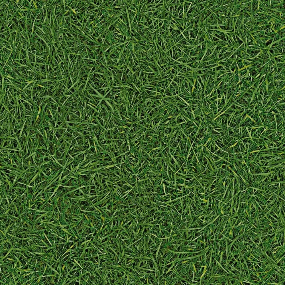 Grass Artifact 25 Plastmatta 200cm | Stuvbutiken - Bild 2